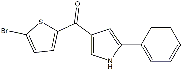(5-bromothiophen-2-yl)(5-phenyl-1H-pyrrol-3-yl)methanone 구조식 이미지
