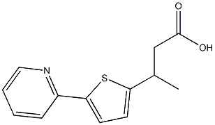 3-(5-(pyridin-2-yl)thiophen-2-yl)butanoic acid 구조식 이미지