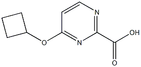 4-Cyclobutoxypyrimidine-2-carboxylic acid 구조식 이미지