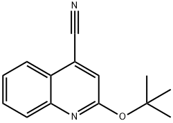 Cinchoninonitrile,  2-tert-butoxy-  (4CI) Structure