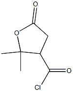 Valeric acid, 3-(chloroformyl)-4-hydroxy-4-methyl-, gamma-lactone (6CI) Structure