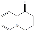 1-oxo-1H,2H,3H,4H-quinolizinium Structure