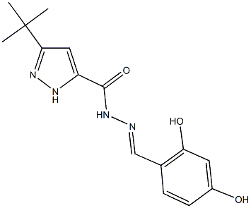 3-tert-butyl-N'-(2,4-dihydroxybenzylidene)-1H-pyrazole-5-carbohydrazide 구조식 이미지