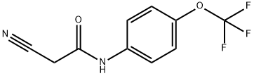 2-cyano-N-[4-(trifluoromethoxy)phenyl]acetamide Structure