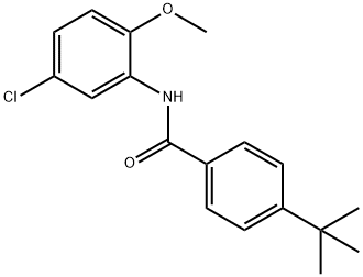 4-tert-butyl-N-(5-chloro-2-methoxyphenyl)benzamide Structure