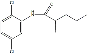 N-(2,5-dichlorophenyl)-2-methylpentanamide Structure