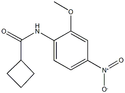 N-{4-nitro-2-methoxyphenyl}cyclobutanecarboxamide 구조식 이미지