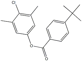 4-chloro-3,5-dimethylphenyl 4-tert-butylbenzoate 구조식 이미지