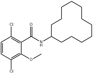 3,6-dichloro-N-cyclododecyl-2-methoxybenzamide 구조식 이미지