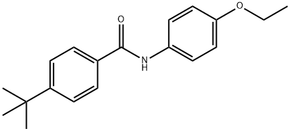 4-tert-butyl-N-(4-ethoxyphenyl)benzamide Structure