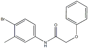 N-(4-bromo-3-methylphenyl)-2-phenoxyacetamide Structure