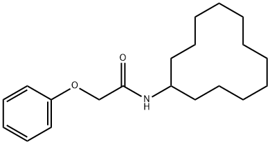 N-cyclododecyl-2-phenoxyacetamide 구조식 이미지