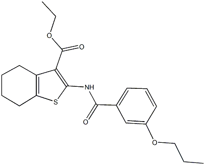 ethyl 2-[(3-propoxybenzoyl)amino]-4,5,6,7-tetrahydro-1-benzothiophene-3-carboxylate Structure