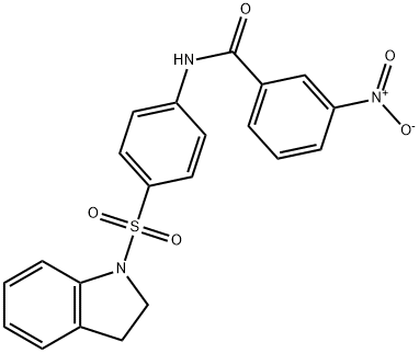 N-[4-(2,3-dihydro-1H-indol-1-ylsulfonyl)phenyl]-3-nitrobenzamide 구조식 이미지