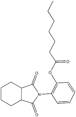 2-(1,3-dioxooctahydro-2H-isoindol-2-yl)phenyl heptanoate Structure