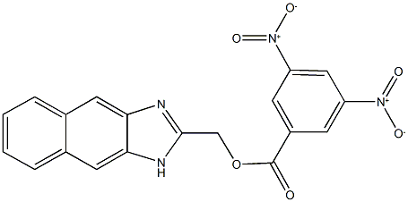 1H-naphtho[2,3-d]imidazol-2-ylmethyl 3,5-bisnitrobenzoate 구조식 이미지