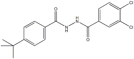 N'-(4-tert-butylbenzoyl)-3,4-dichlorobenzohydrazide 구조식 이미지