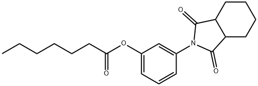 3-(1,3-dioxooctahydro-2H-isoindol-2-yl)phenyl heptanoate Structure