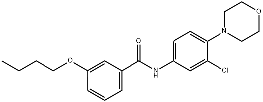 3-butoxy-N-[3-chloro-4-(4-morpholinyl)phenyl]benzamide 구조식 이미지