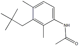 N-(2,4-dimethyl-3-neopentylphenyl)acetamide 구조식 이미지