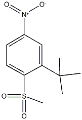 2-tert-butyl-1-(methylsulfonyl)-4-nitrobenzene Structure