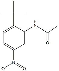 N-{2-tert-butyl-5-nitrophenyl}acetamide 구조식 이미지