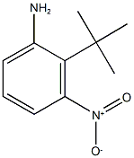 2-tert-butyl-3-nitroaniline 구조식 이미지