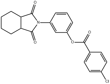 3-(1,3-dioxooctahydro-2H-isoindol-2-yl)phenyl 4-chlorobenzoate 구조식 이미지