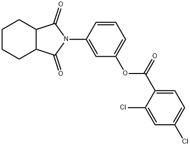 3-(1,3-dioxooctahydro-2H-isoindol-2-yl)phenyl 2,4-dichlorobenzoate Structure