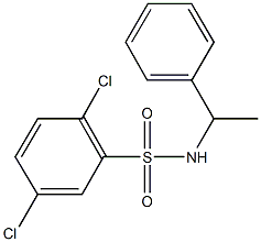 2,5-dichloro-N-(1-phenylethyl)benzenesulfonamide Structure