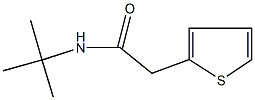 N-(tert-butyl)-2-(2-thienyl)acetamide Structure