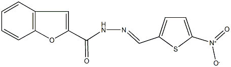 N'-({5-nitro-2-thienyl}methylene)-1-benzofuran-2-carbohydrazide 구조식 이미지