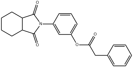 3-(1,3-dioxooctahydro-2H-isoindol-2-yl)phenyl phenylacetate Structure