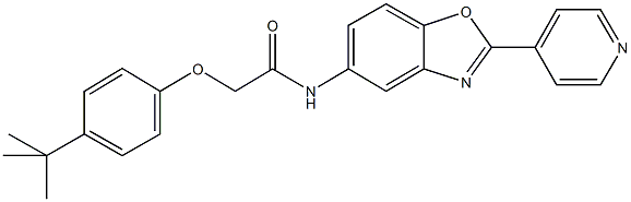 2-(4-tert-butylphenoxy)-N-[2-(4-pyridinyl)-1,3-benzoxazol-5-yl]acetamide 구조식 이미지