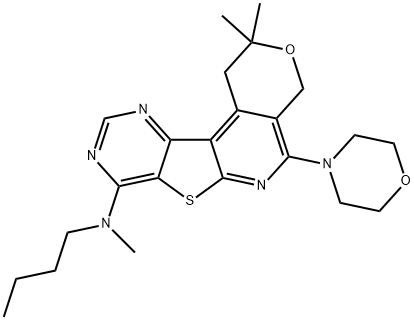 N-butyl-N-[2,2-dimethyl-5-(4-morpholinyl)-1,4-dihydro-2H-pyrano[4'',3'':4',5']pyrido[3',2':4,5]thieno[3,2-d]pyrimidin-8-yl]-N-methylamine 구조식 이미지