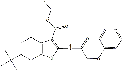 ethyl 6-tert-butyl-2-[(phenoxyacetyl)amino]-4,5,6,7-tetrahydro-1-benzothiophene-3-carboxylate Structure