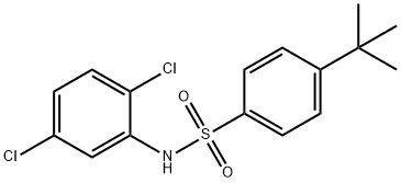 4-tert-butyl-N-(2,5-dichlorophenyl)benzenesulfonamide 구조식 이미지