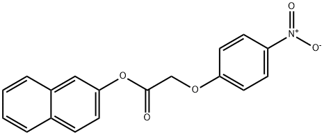 2-naphthyl {4-nitrophenoxy}acetate Structure