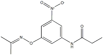 N-(3-nitro-5-{[(1-methylethylidene)amino]oxy}phenyl)propanamide 구조식 이미지