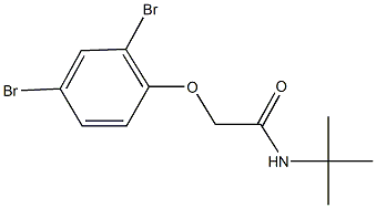 N-(tert-butyl)-2-(2,4-dibromophenoxy)acetamide Structure