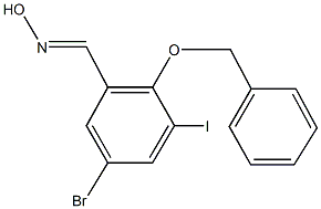 2-(benzyloxy)-5-bromo-3-iodobenzaldehyde oxime 구조식 이미지