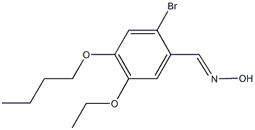 2-bromo-4-butoxy-5-ethoxybenzaldehyde oxime Structure