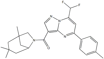 7-(difluoromethyl)-5-(4-methylphenyl)-3-[(1,3,3-trimethyl-6-azabicyclo[3.2.1]oct-6-yl)carbonyl]pyrazolo[1,5-a]pyrimidine 구조식 이미지