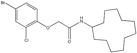 2-(4-bromo-2-chlorophenoxy)-N-cyclododecylacetamide 구조식 이미지