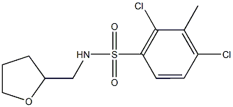 2,4-dichloro-3-methyl-N-(tetrahydro-2-furanylmethyl)benzenesulfonamide 구조식 이미지