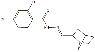 N'-(bicyclo[2.2.1]hept-2-ylmethylene)-2,4-dichlorobenzohydrazide 구조식 이미지