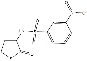 3-nitro-N-(2-oxotetrahydro-3-thienyl)benzenesulfonamide 구조식 이미지