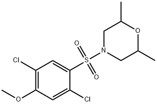 4-[(2,5-dichloro-4-methoxyphenyl)sulfonyl]-2,6-dimethylmorpholine 구조식 이미지