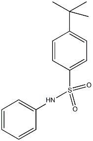 4-tert-butyl-N-phenylbenzenesulfonamide Structure