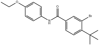 3-bromo-4-tert-butyl-N-(4-ethoxyphenyl)benzamide Structure